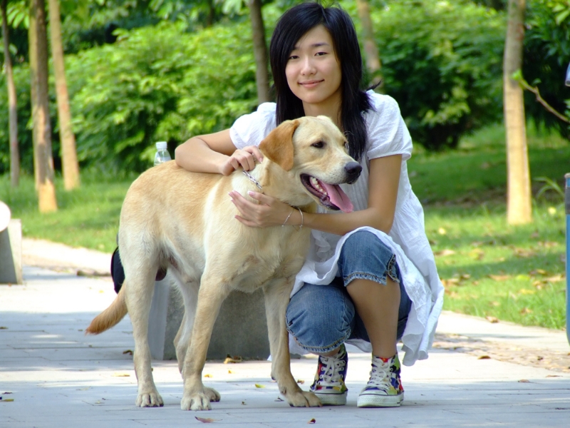 风中的绿叶的第一张照片--台湾红颜知己交友网