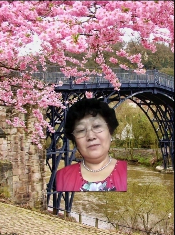 s铭的第三张照片--台湾红颜知己交友网